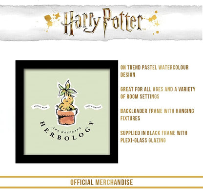Pyramid International HARRY POTTER Framed Print Watercolour Mandrake Design 30cm x 30cm - Official Merchandise Herbology