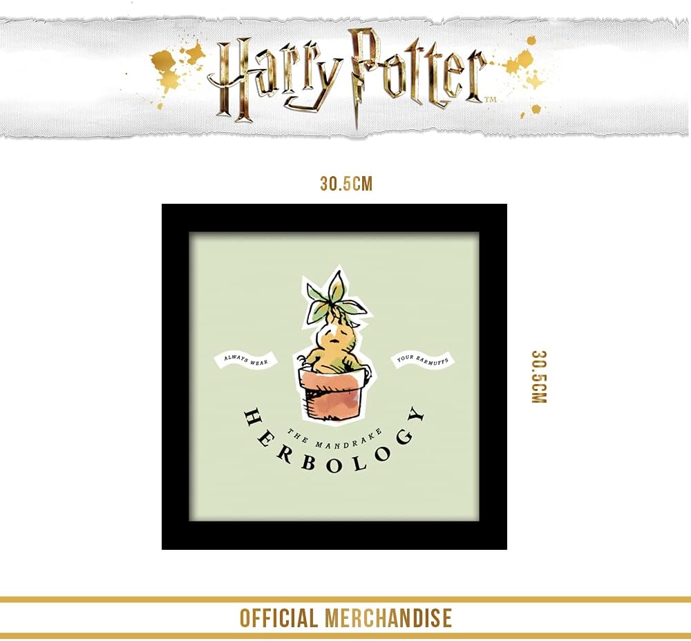 Pyramid International HARRY POTTER Framed Print Watercolour Mandrake Design 30cm x 30cm - Official Merchandise Herbology