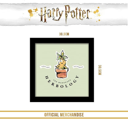 Pyramid International HARRY POTTER Framed Print Watercolour Mandrake Design 30cm x 30cm - Official Merchandise Herbology
