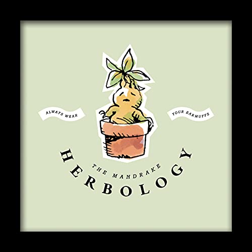 Pyramid International HARRY POTTER Framed Print Watercolour Mandrake Design 30cm x 30cm - Official Merchandise Herbology
