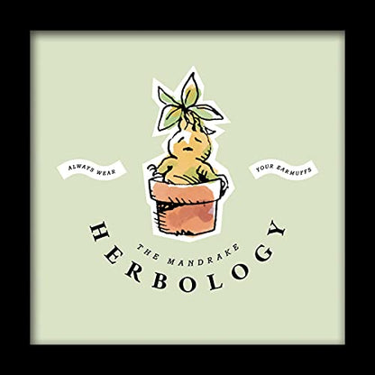 Pyramid International HARRY POTTER Framed Print Watercolour Mandrake Design 30cm x 30cm - Official Merchandise Herbology