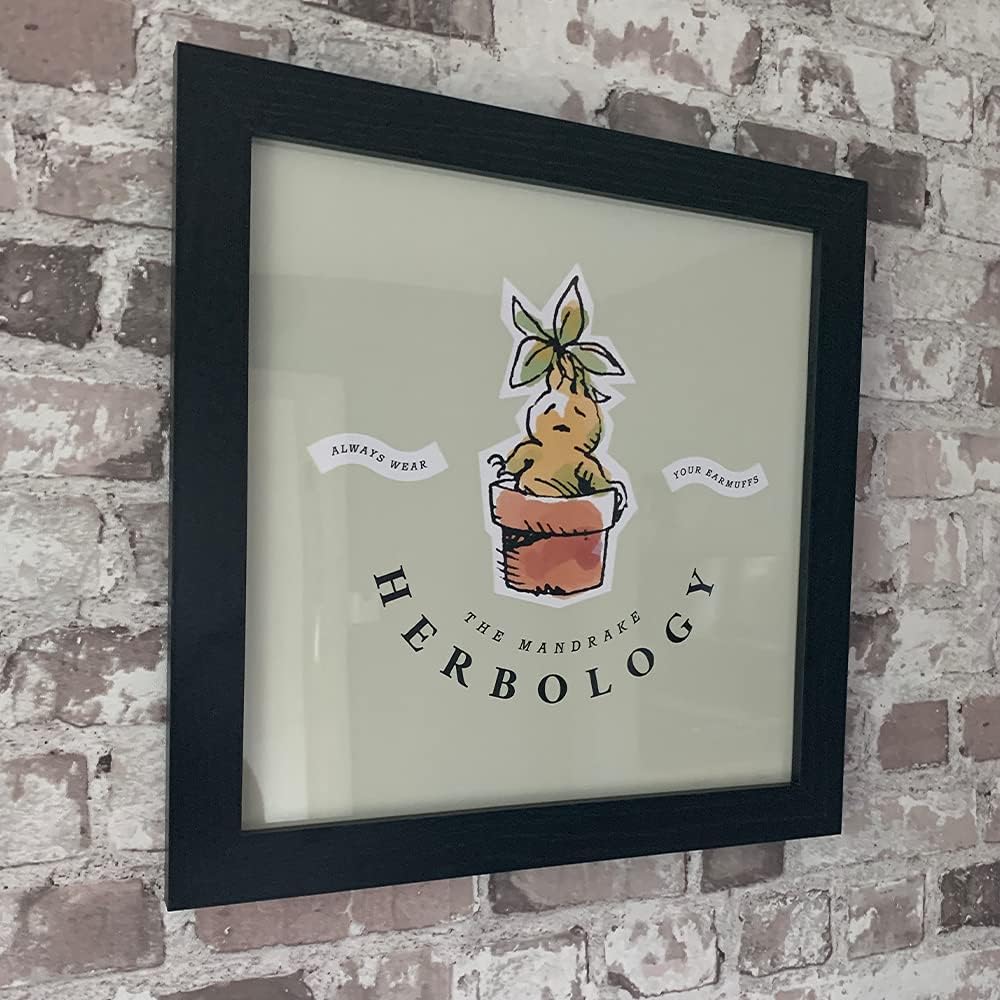 Pyramid International HARRY POTTER Framed Print Watercolour Mandrake Design 30cm x 30cm - Official Merchandise Herbology