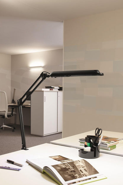 `LED-Leuchte MAULatlantic, mit KlemmfuB/8203590 sch`