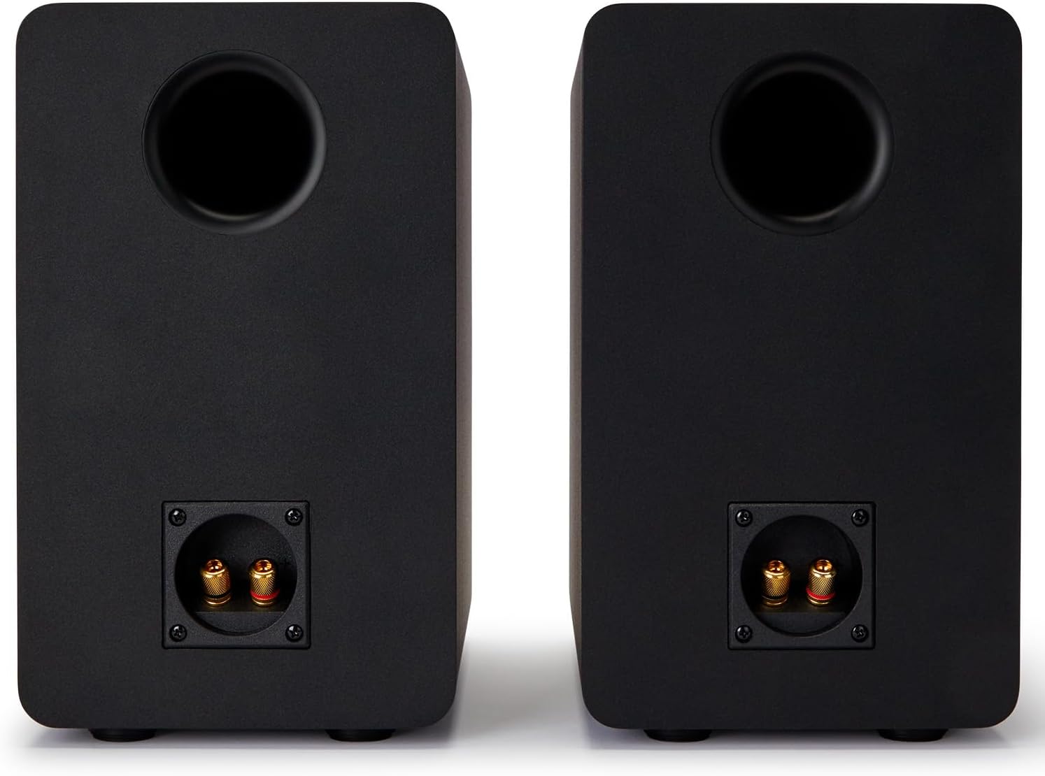 Aiwa Sp-A100 - Book Shelf Speakers