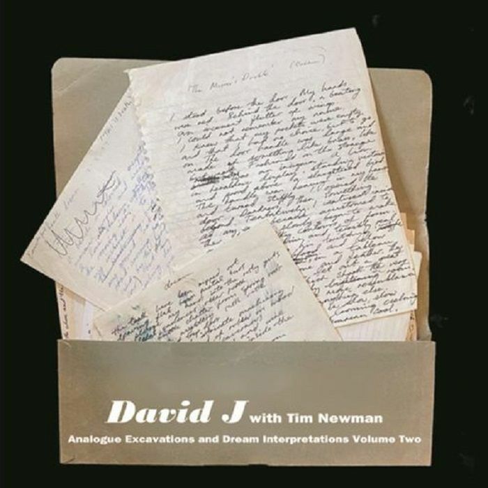 Analogue Excavations & Dream Interpretations (RSD 2022) - Volume 2