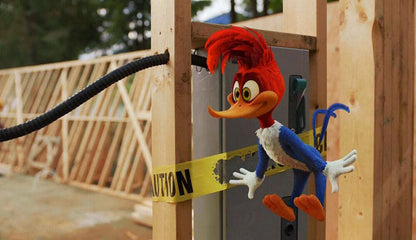 Woody woodpecker, le film