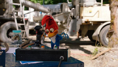 Woody woodpecker, le film