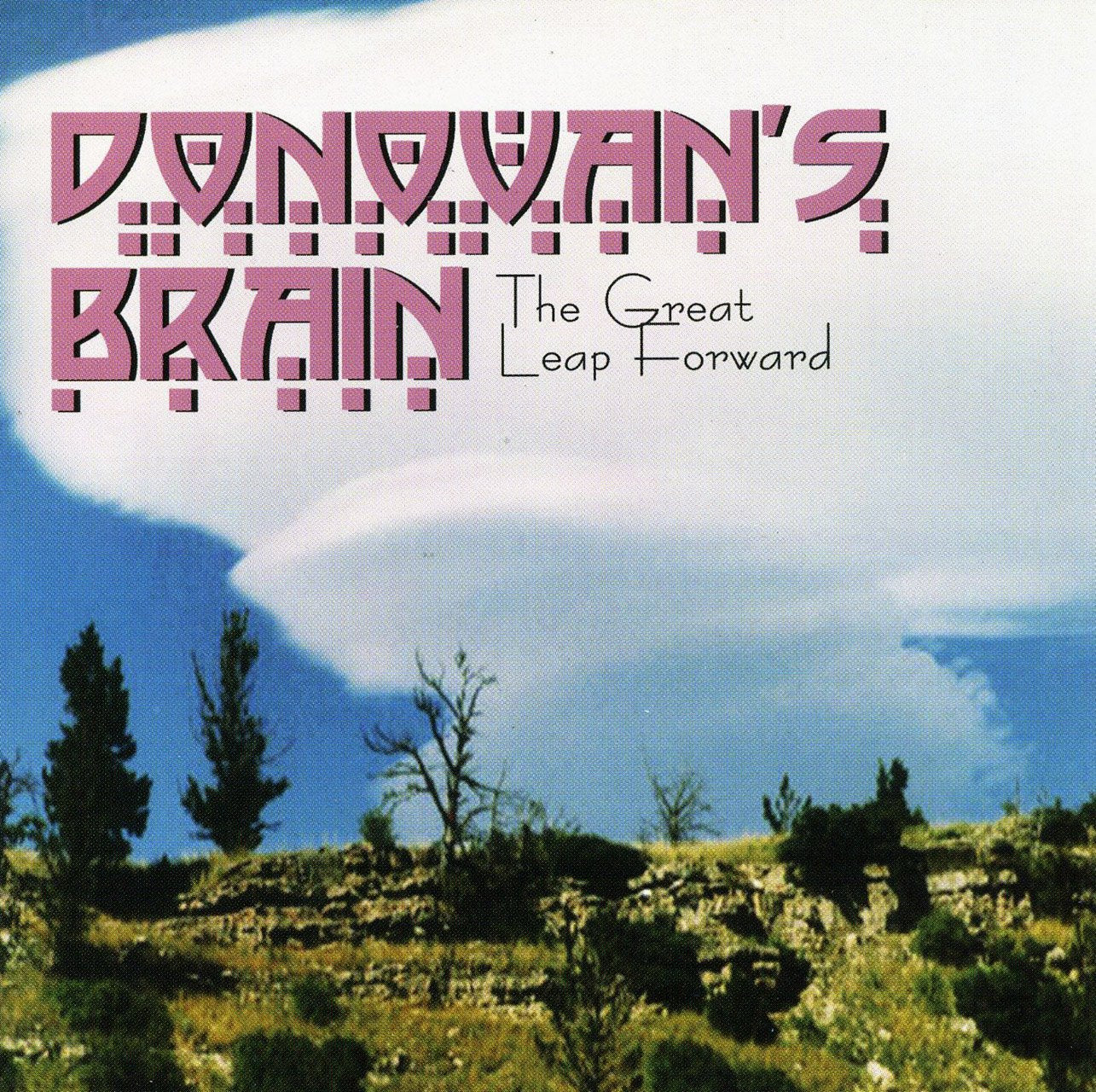 The Great Leap Forward