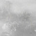 PARALLEL LANDSCAPES (WB) (SPEC)