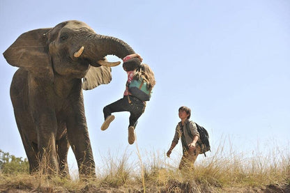 Aventures africaines