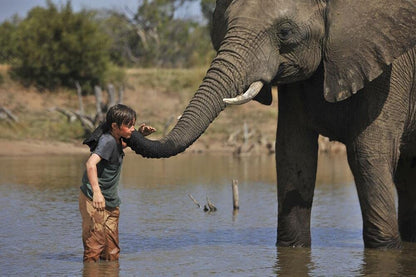 Aventures africaines