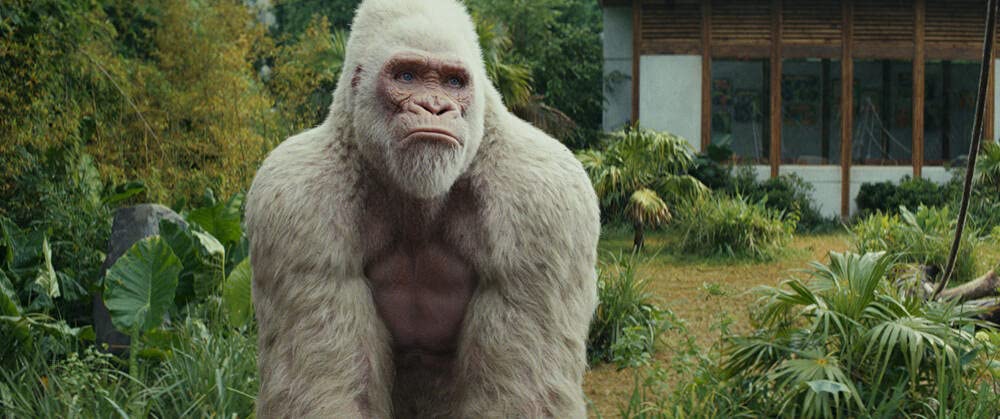 Rampage - Hors de contrôle - DVD DVD