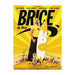 Brice de Nice
