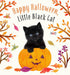 Happy Halloween, Little Black Cat: A Board Book (Baby Animal Tales