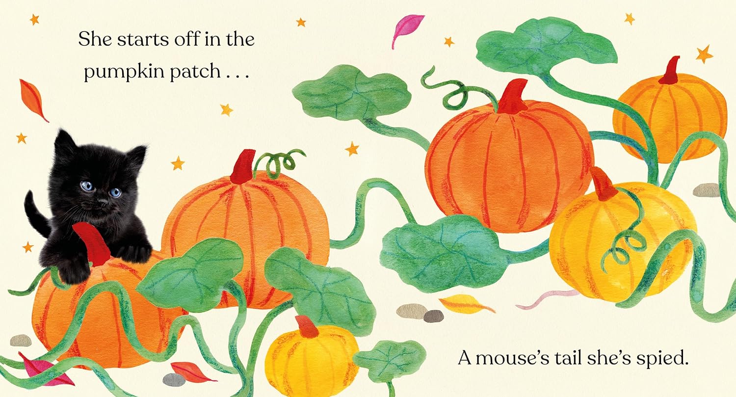 Happy Halloween, Little Black Cat: A Board Book (Baby Animal Tales