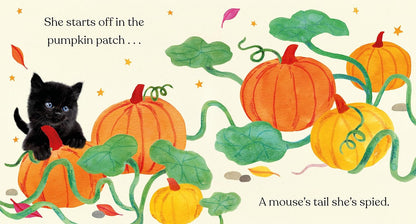 Happy Halloween, Little Black Cat: A Board Book (Baby Animal Tales