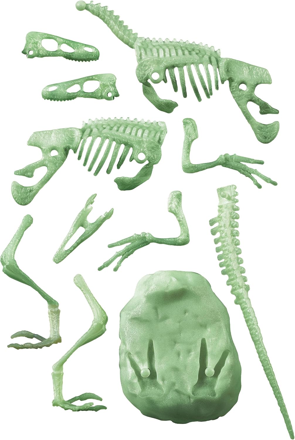Clementoni - Science Lab Archaeogio Game Velociraptor Dinosaur, Fossil Set for Digging and Assembling Paleontology, Scientific Game 7 Years, in Italian, Made in Italy