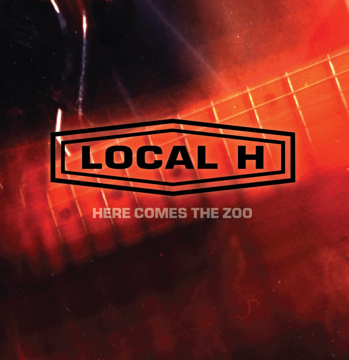 Here Comes the Zoo