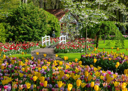 Ravensburger - Keukenhof Gardens 1000P - (12000851)