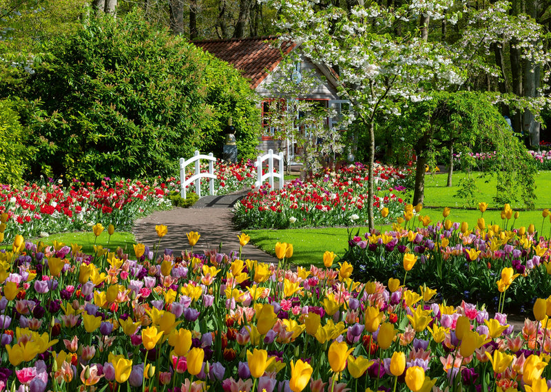Ravensburger - Keukenhof Gardens 1000P - (12000851)