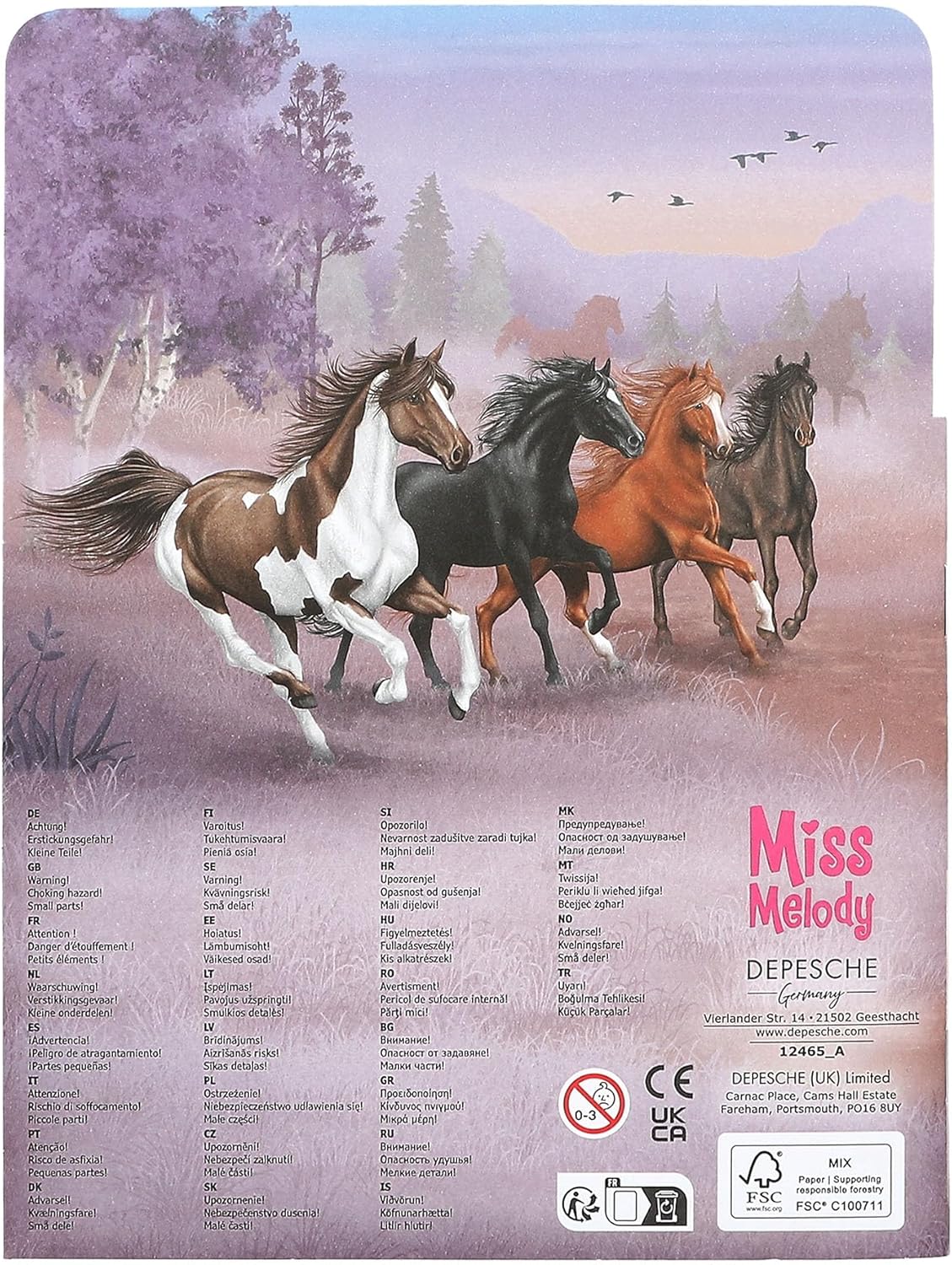 Depesche Miss Melody 12465 Fun Mini Sticker Book with 12 Personalised Background Pages and 7 Sticker Sheets, Multi-Colour