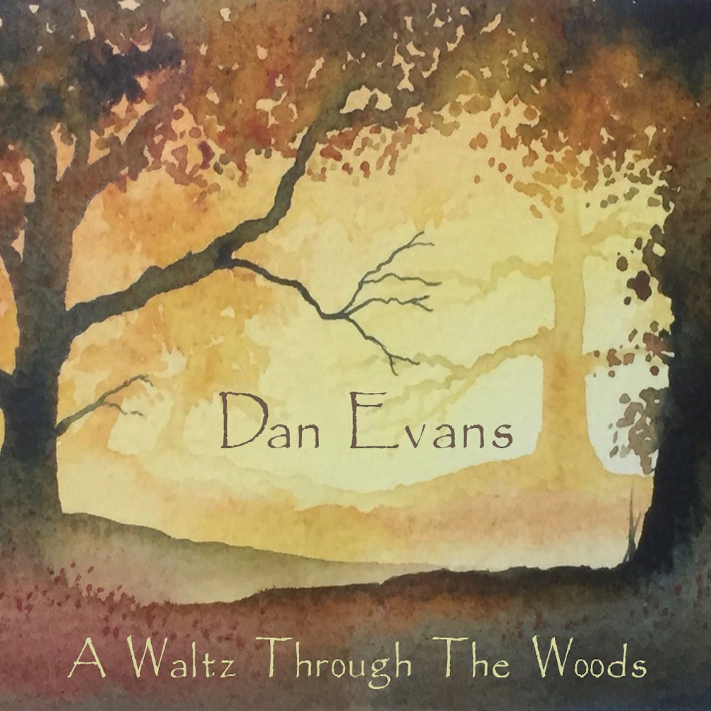 Dan Evans: A Waltz Through the Woods
