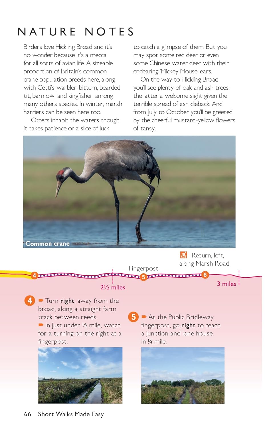 Norfolk Coast and Broads