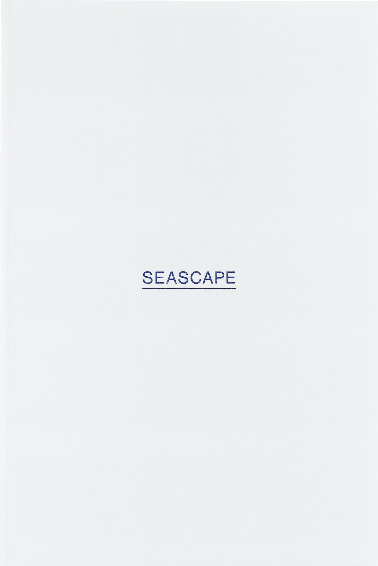 Seascape: Susan Collins