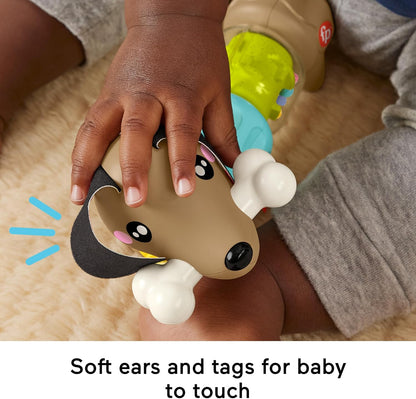 Fisher-Price Baby Sensory Toy FP Pets Click & Spin Activity Pup with Fine Motor Activities for Infants Ages 6+ Months, HTW91
