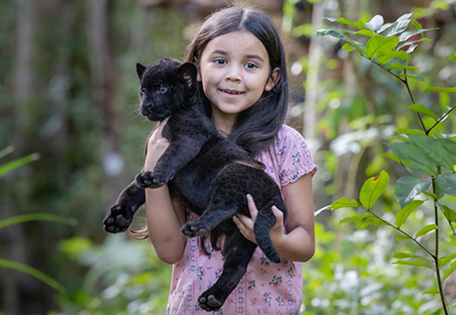 Ella und der schwarze Jaguar