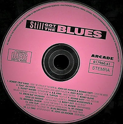 Robert Cray Band, John Lee Hooker, Tony Joe White, Rory Block..