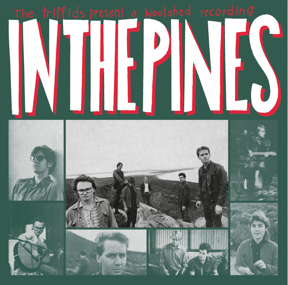 In the Pines