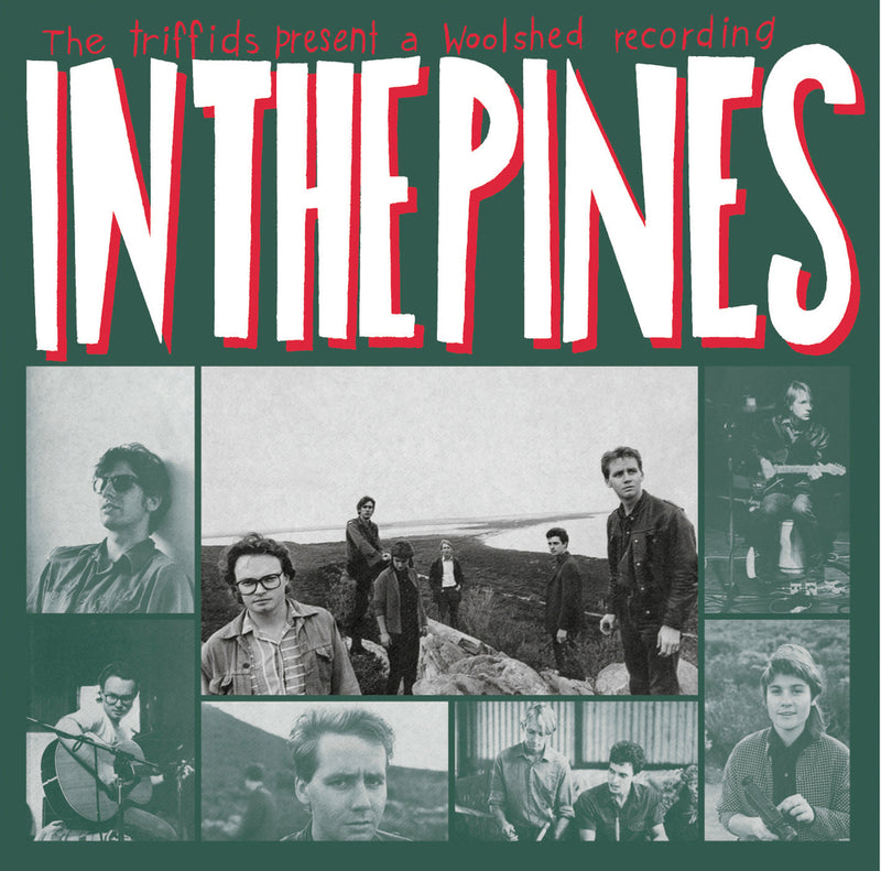 In the Pines