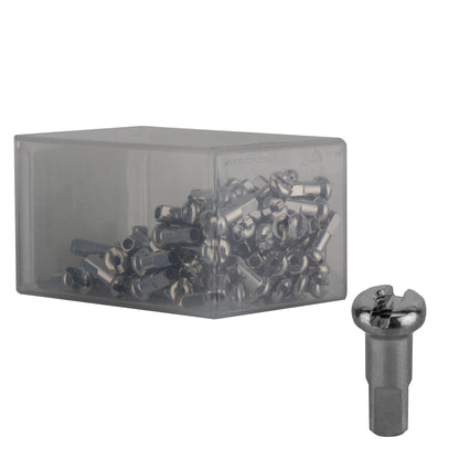 DT Swiss 2 x 12 mm brass nipples silver (box of 100)