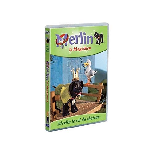Merlin le magichien : merlin le roi du chateau
