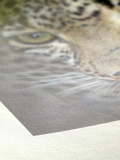 Hahnemühle Bamboo A4 25 Sheets