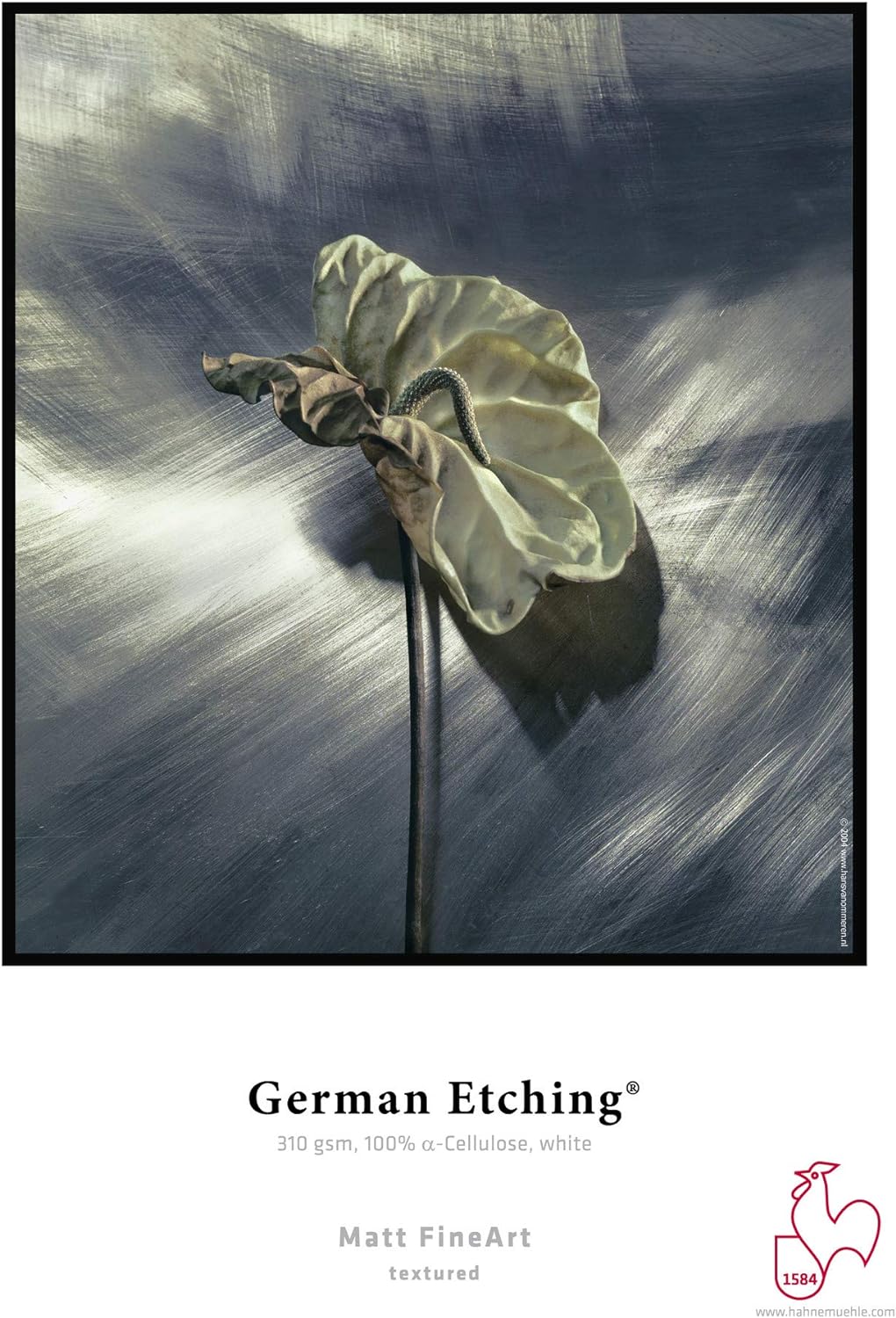 Hahnemühle Digital Fine Art German Etching Paper 310 g/m² 329 x 483 mm White