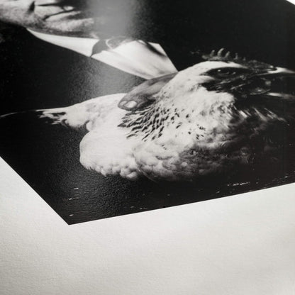 Hahnemühle Photo Rag Baryta A3 - Papel (De alto brillo, 315 g/m², 0.39 µm, 35-65%, 10-30 °C, 50-86 °F