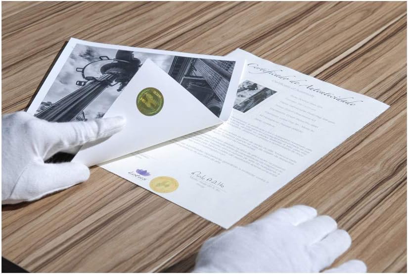 Hahnemühle 10640397 Digital FineArt Cerificate of Authenticity with 50 Holograms in a Box, A4, 25 Sheets, 210 x 297 mm