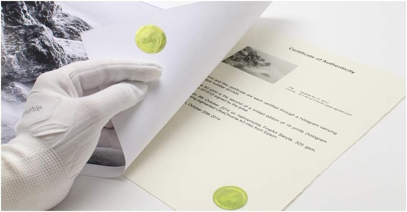 Hahnemühle 10640397 Digital FineArt Cerificate of Authenticity with 50 Holograms in a Box, A4, 25 Sheets, 210 x 297 mm