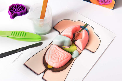 Kosmos 616816 Fun Science - Squishy Organs, Glibber-Organe, Anatomie spielerisch erleben Experimentier Set für Kinder mit mehrsprachiger Anleitung (DE, EN, FR, IT, ES, NL