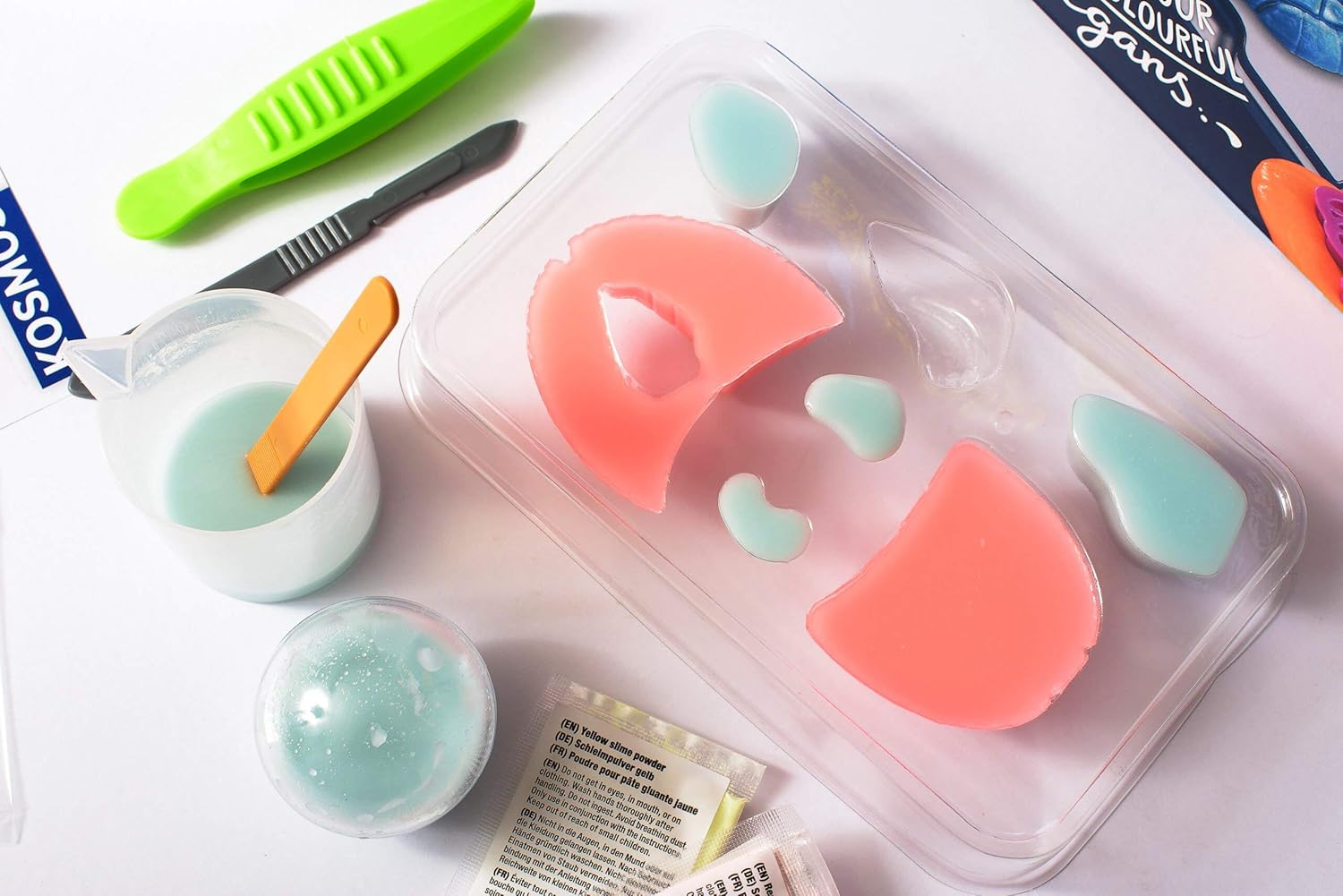 Kosmos 616816 Fun Science - Squishy Organs, Glibber-Organe, Anatomie spielerisch erleben Experimentier Set für Kinder mit mehrsprachiger Anleitung (DE, EN, FR, IT, ES, NL