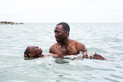 Moonlight (French Version) (Dvd) (Region 2)