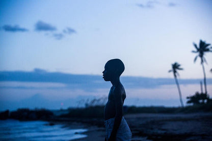Moonlight (French Version) (Dvd) (Region 2)