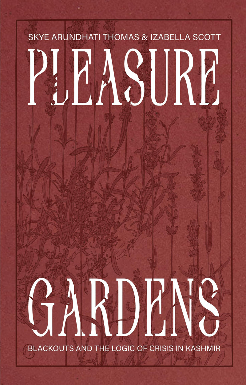 Pleasure Gardens: Blackouts and the Logic of Crisis