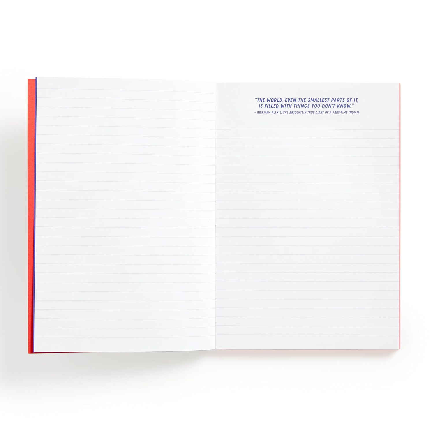 I Read Banned Books A5 Journal