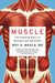 Muscle