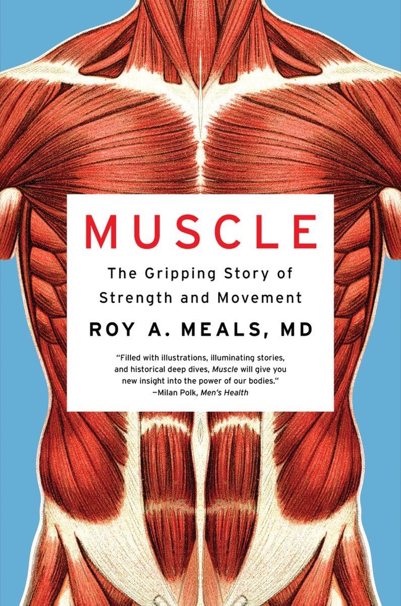 Muscle