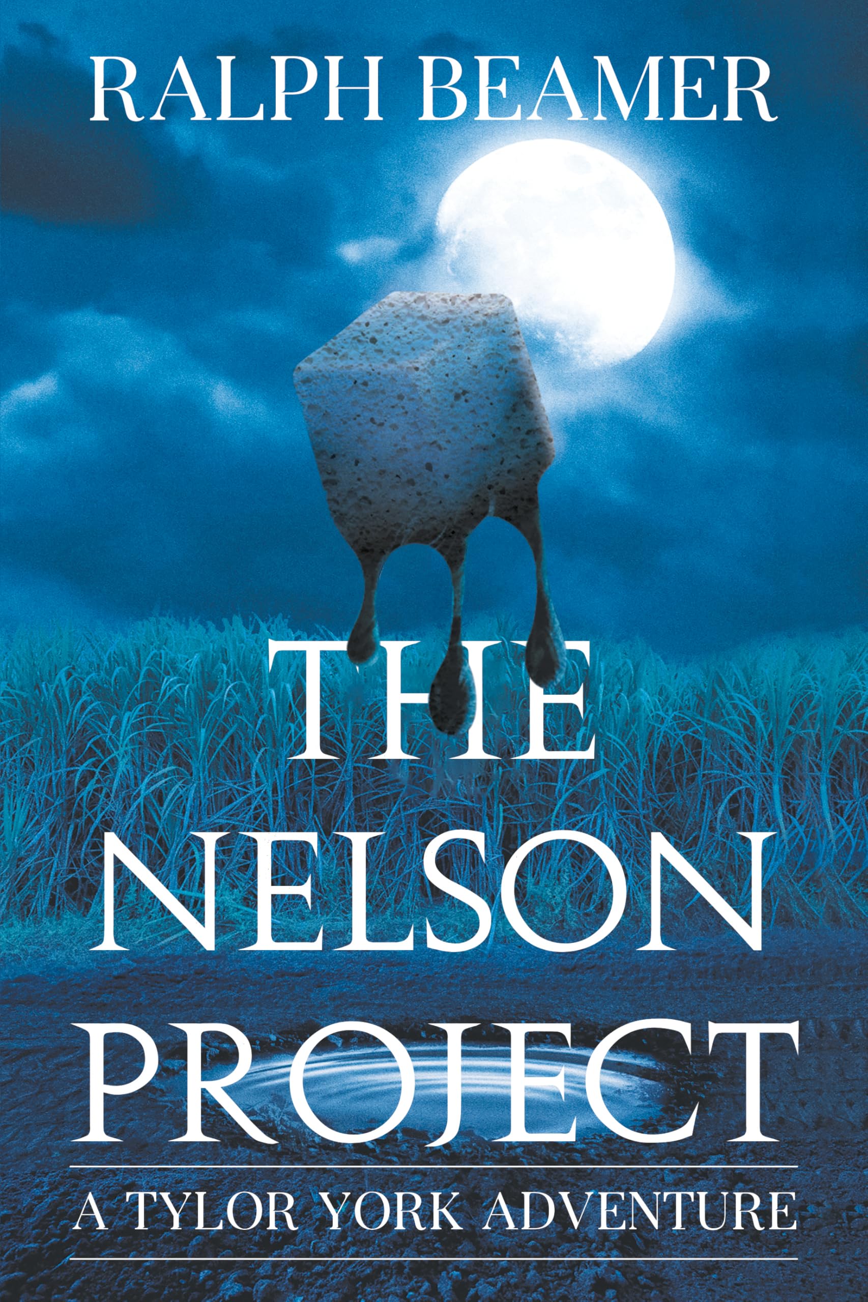 The Nelson Project
