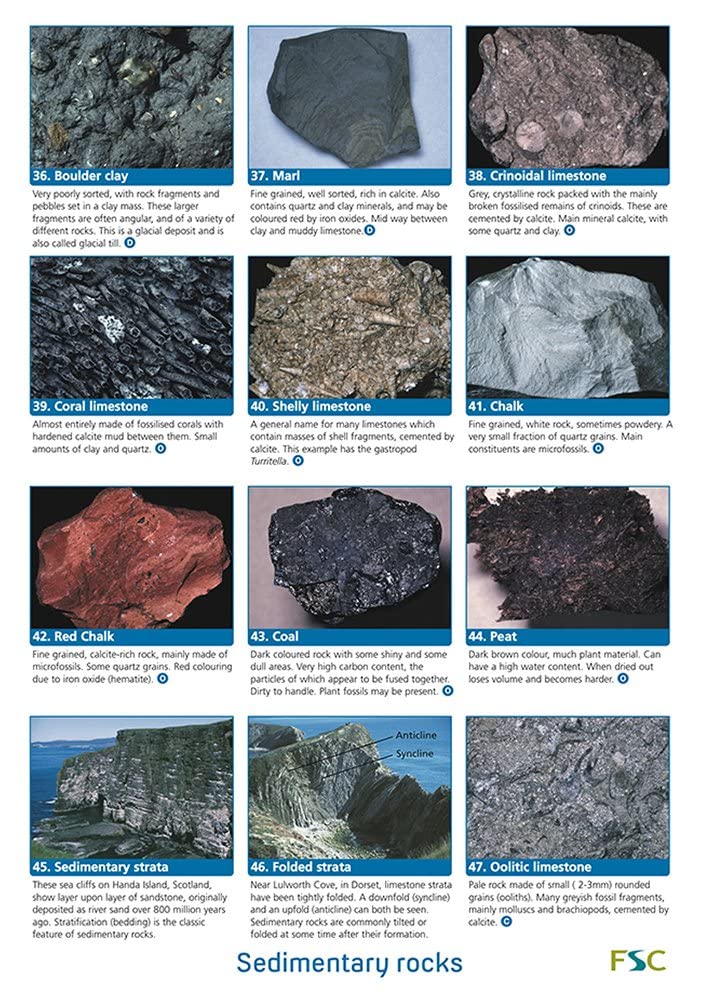 A Guide to Common Rocks